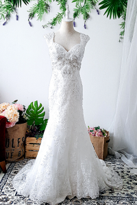 808LLW03 Plus Size Bride Aline VIntage Cap sleeves V neck fit and flare zip Malaysia wedding dress rental