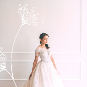 Evening Dress 711XNE06 Champagne stripe sequin Princess 5 Wedding Ballgown rental Malaysia, French Chantilly Lace bridal dress custom make malaysia, 