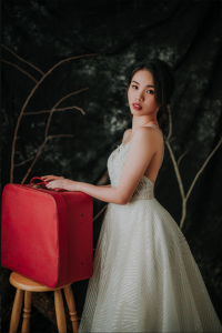 201RYW02 Olivia Champagne Spag Geometry A line 8 Petite Bride Malaysia, Wedding Ballgown rental Malaysia, Bridal Dress Rental Malay Kuala Lumpur Rental, 